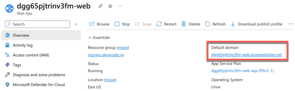 Web App resource for front-end application with Default domain highlighted