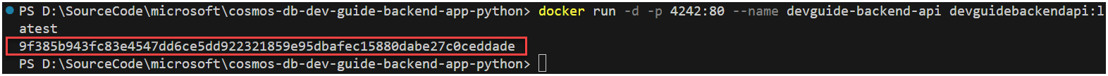 The VSCode terminal window displays the docker run command.